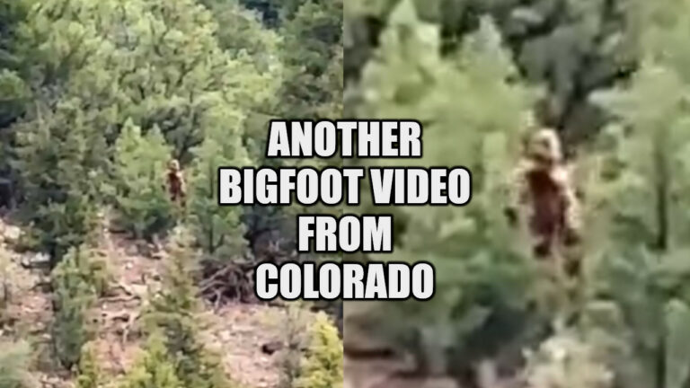 Colorado Bigfoot sighting