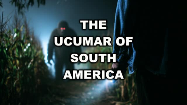 Ucumar South America - cover