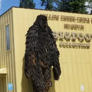 Willow Creek Bigfoot Museum