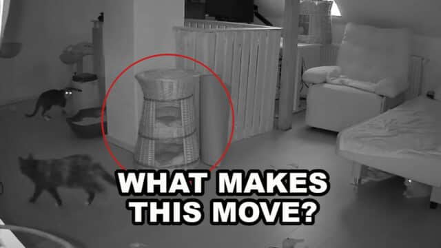 basket moves ghost video