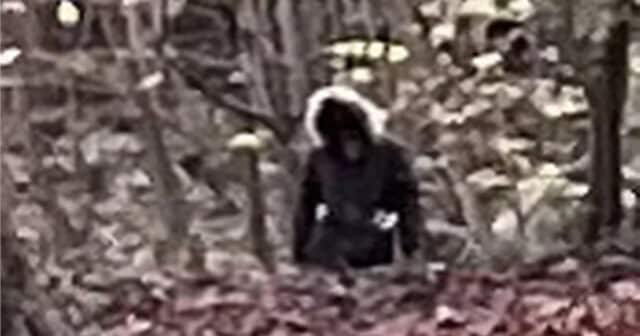UK dogman