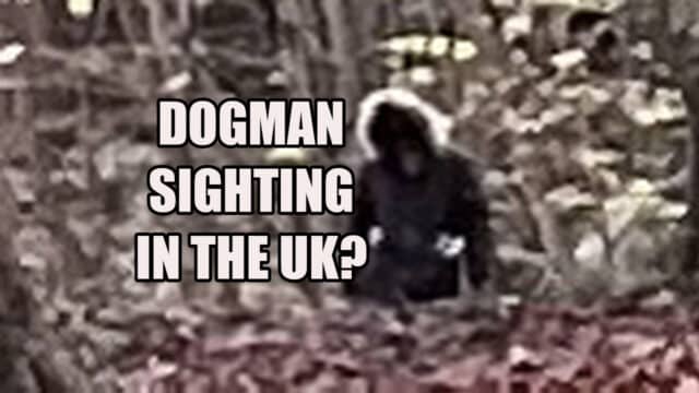Dogman sighting in the UK
