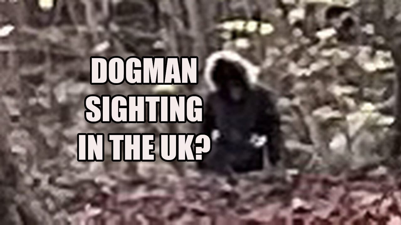 Dogman sighting in the UK