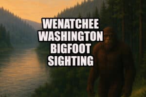 Wenatchee, WA Bigfoot sighting