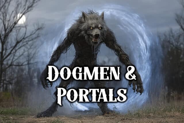 Dogmen portal