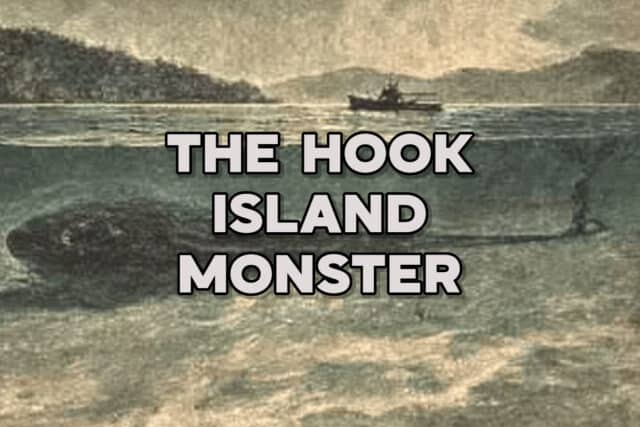 The Hook Island Monster