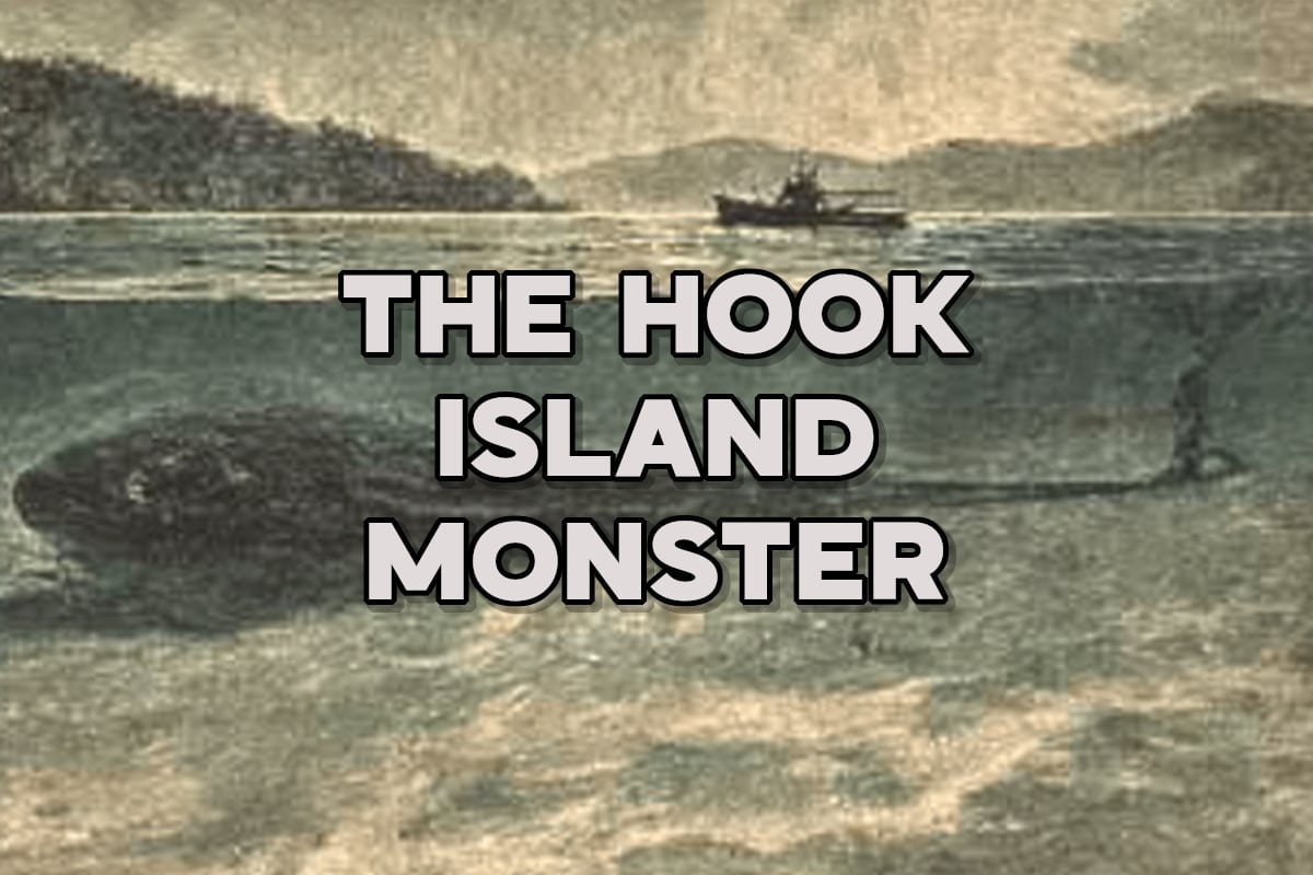 The Hook Island Monster