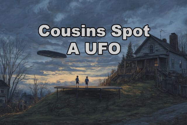 Cousins spot UFO