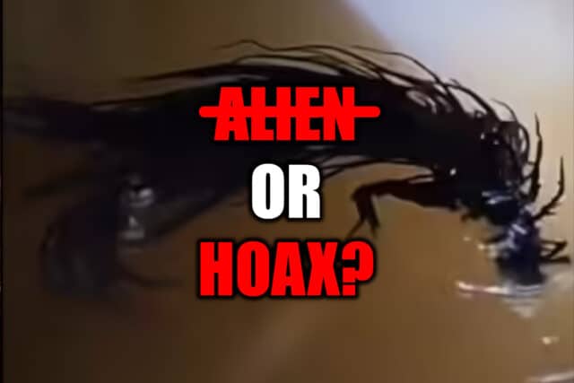 black goo hoax