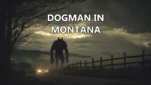 Dogman sighted in Montana