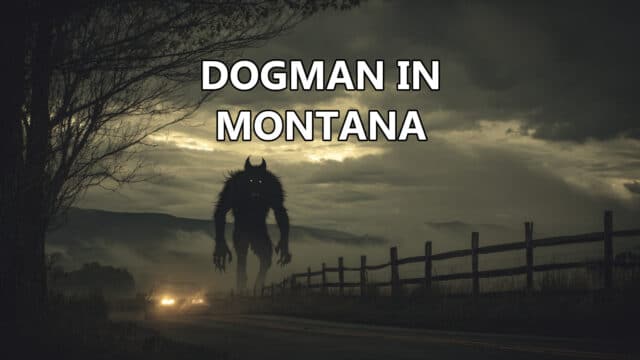 Dogman sighted in Montana