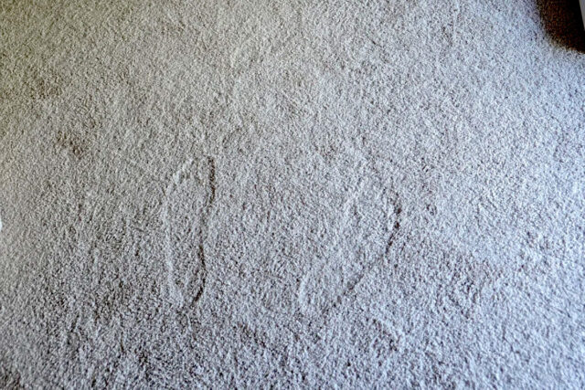 Mystery footprints found in woman's carpet