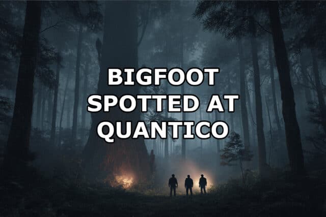 Quantico Bigfoot sighting