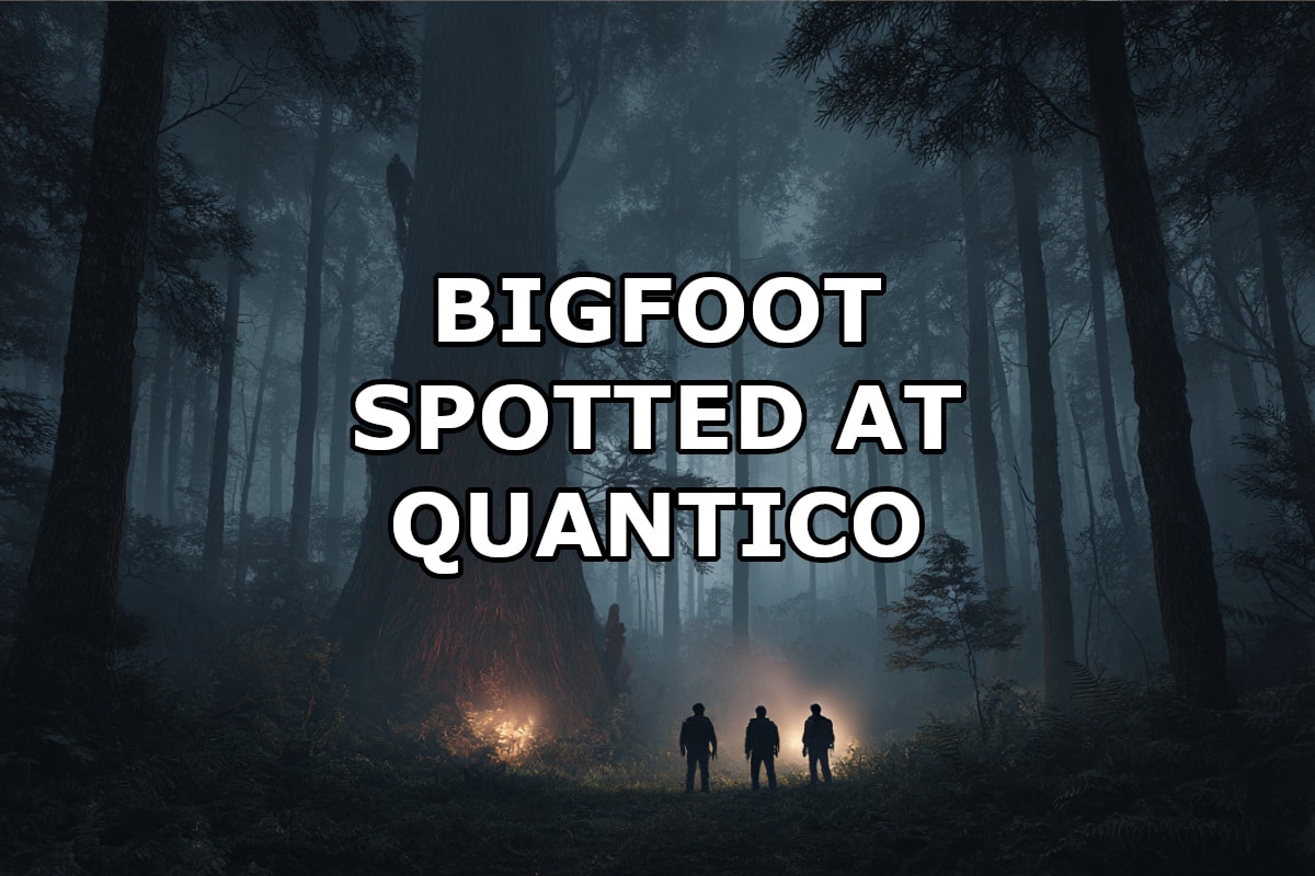 Quantico Bigfoot sighting