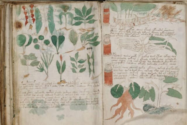 Illustrations from the Voynich Manuscript