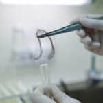 Why is Bigfoot DNA hard to find?