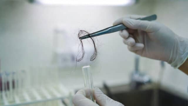 Why is Bigfoot DNA hard to find?