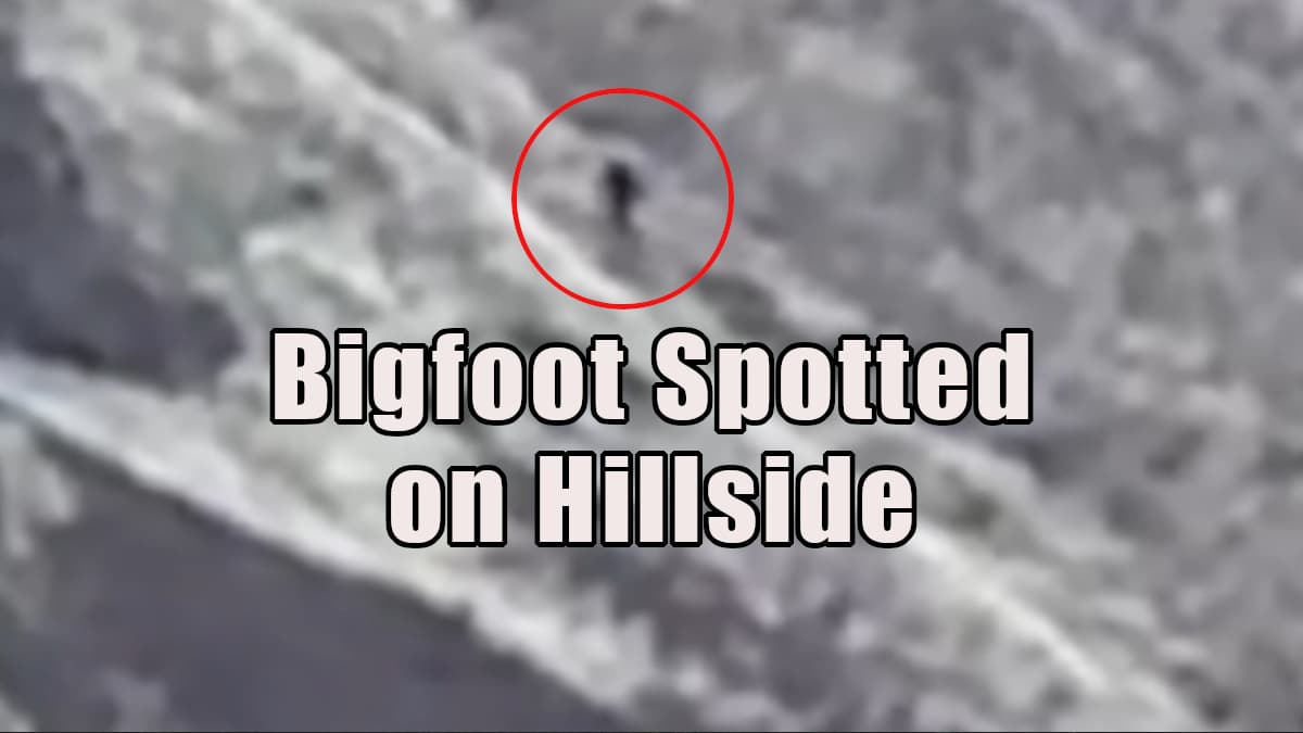 Bigfoot filmed running across a rugged hillside.