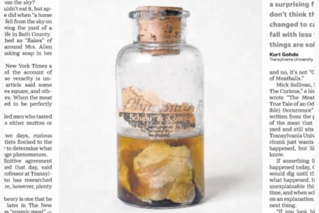 The last remaining sample of flesh from the 1876 meat sky fall.