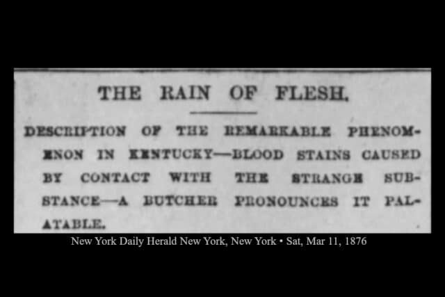News clipping from the New York Daily Herald about the 1876 rain of meat on Kentucky