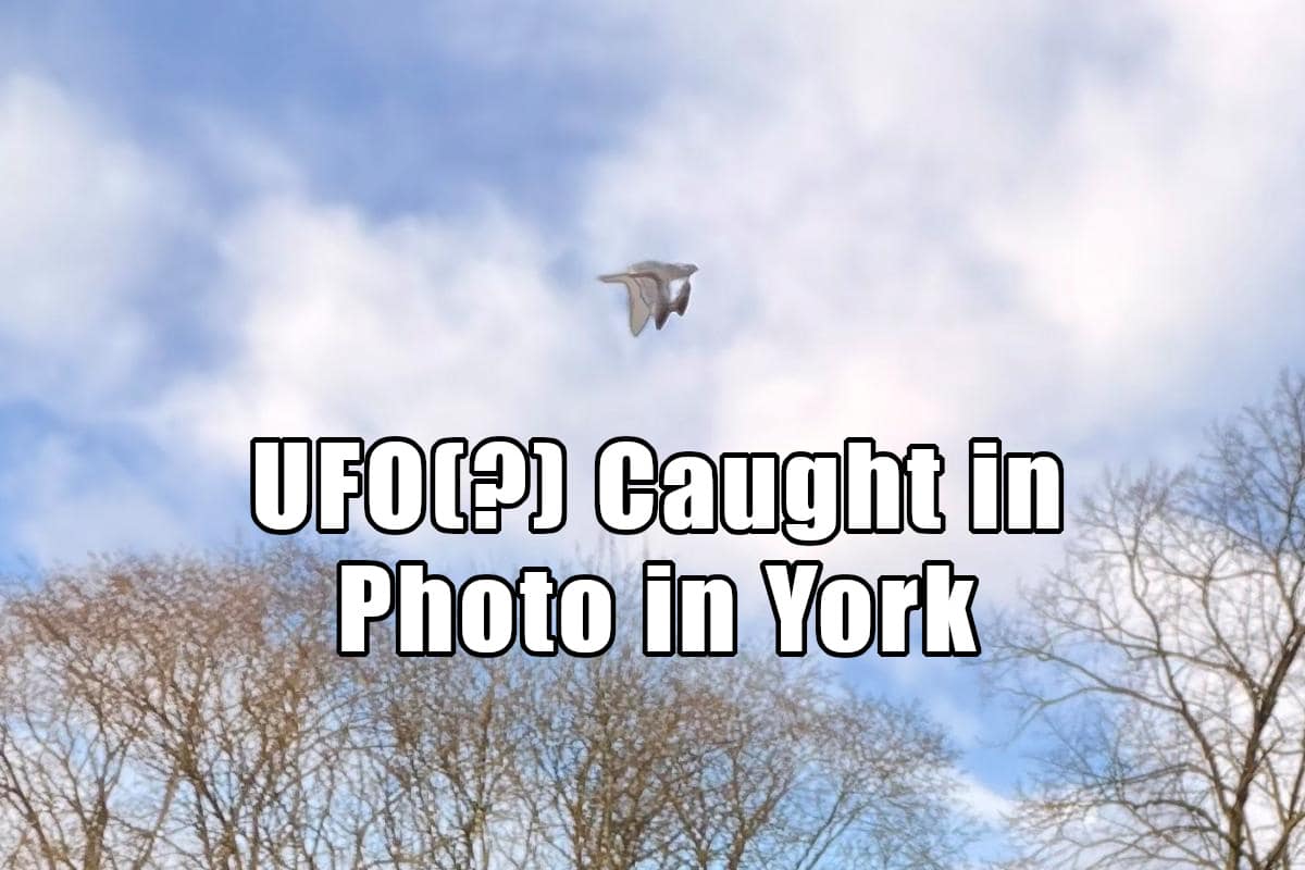 Possible UFO caught in a selfie photo over York.