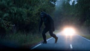 Bigfoot spotted crossing the road in South Carolina