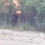 Debunked video of what people thought was a Bigfoot