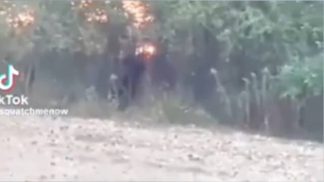 Debunked video of what people thought was a Bigfoot