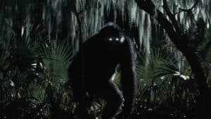 The legend of the florida swamp ape