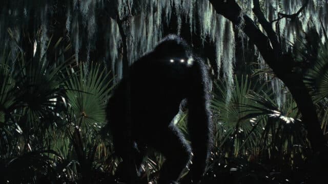 The legend of the florida swamp ape