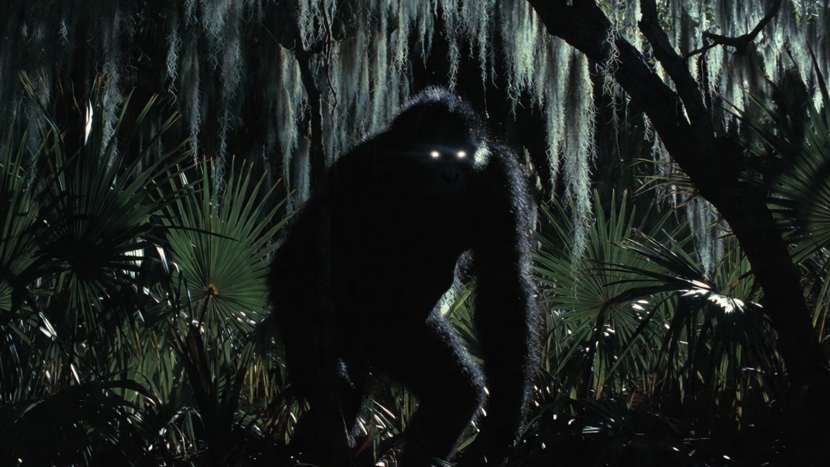 The legend of the florida swamp ape