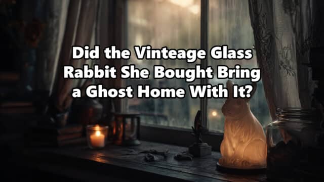 haunted glass rabbit