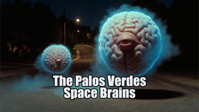 The Palos Verdes Space Brains