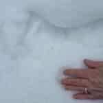 strange skinny footprints found in the snow.