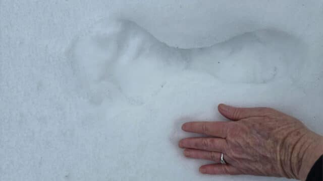 strange skinny footprints found in the snow.