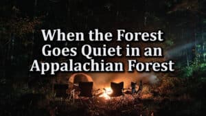 When you are camping in the Appalachian forests, be very scared if it suddenly goes quiet