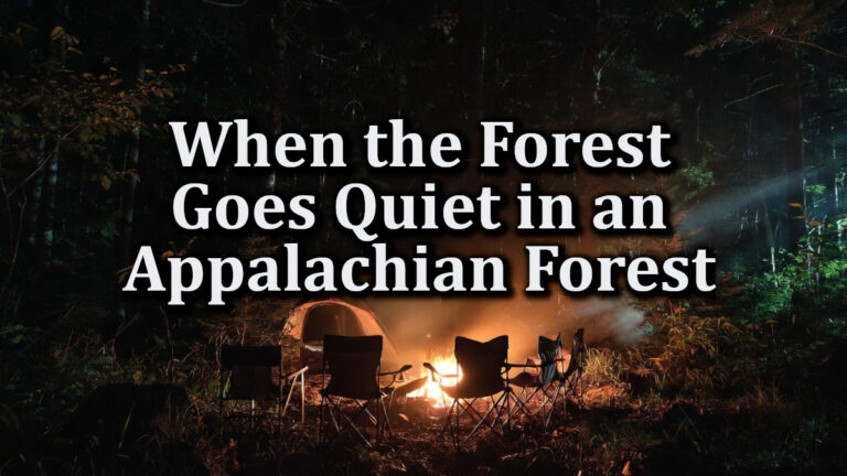 When you are camping in the Appalachian forests, be very scared if it suddenly goes quiet
