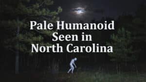 Mysterious pale humanoid spotted at the edge of the forest in North Carolina