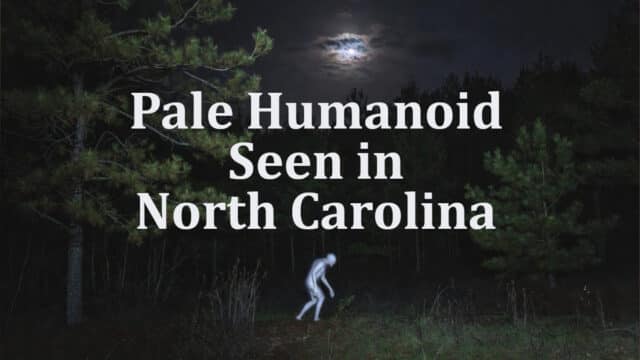 Mysterious pale humanoid spotted at the edge of the forest in North Carolina