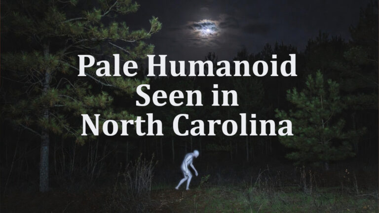 Mysterious pale humanoid spotted at the edge of the forest in North Carolina