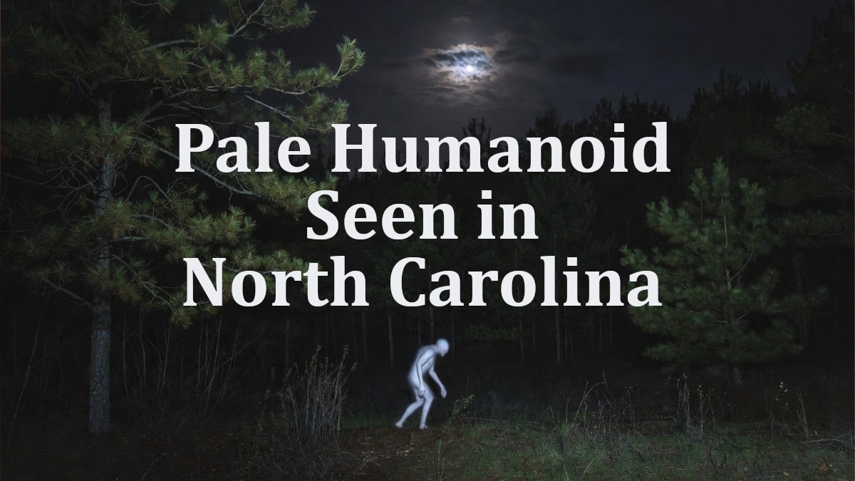 Mysterious pale humanoid spotted at the edge of the forest in North Carolina